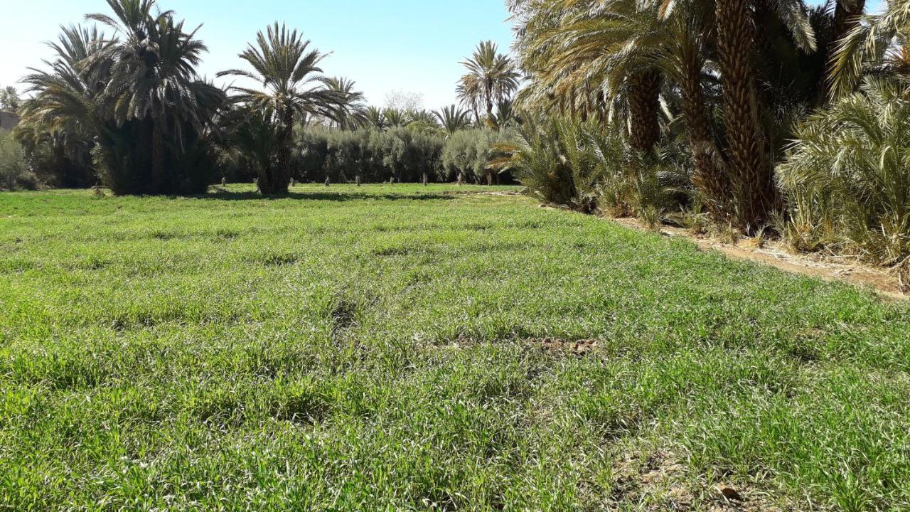 Riad Sarayas Tajda Екстер'єр фото
